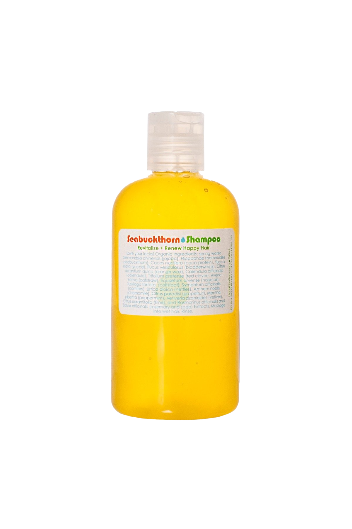 Seabuckthorn Shampoo