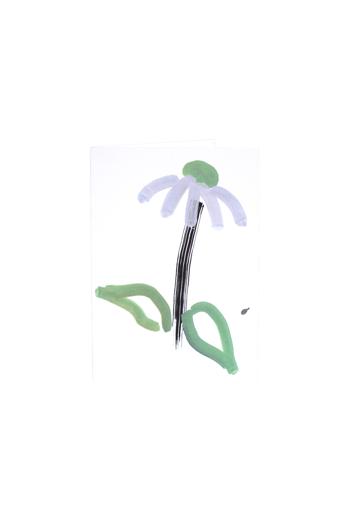 Echinacea Greeting Card