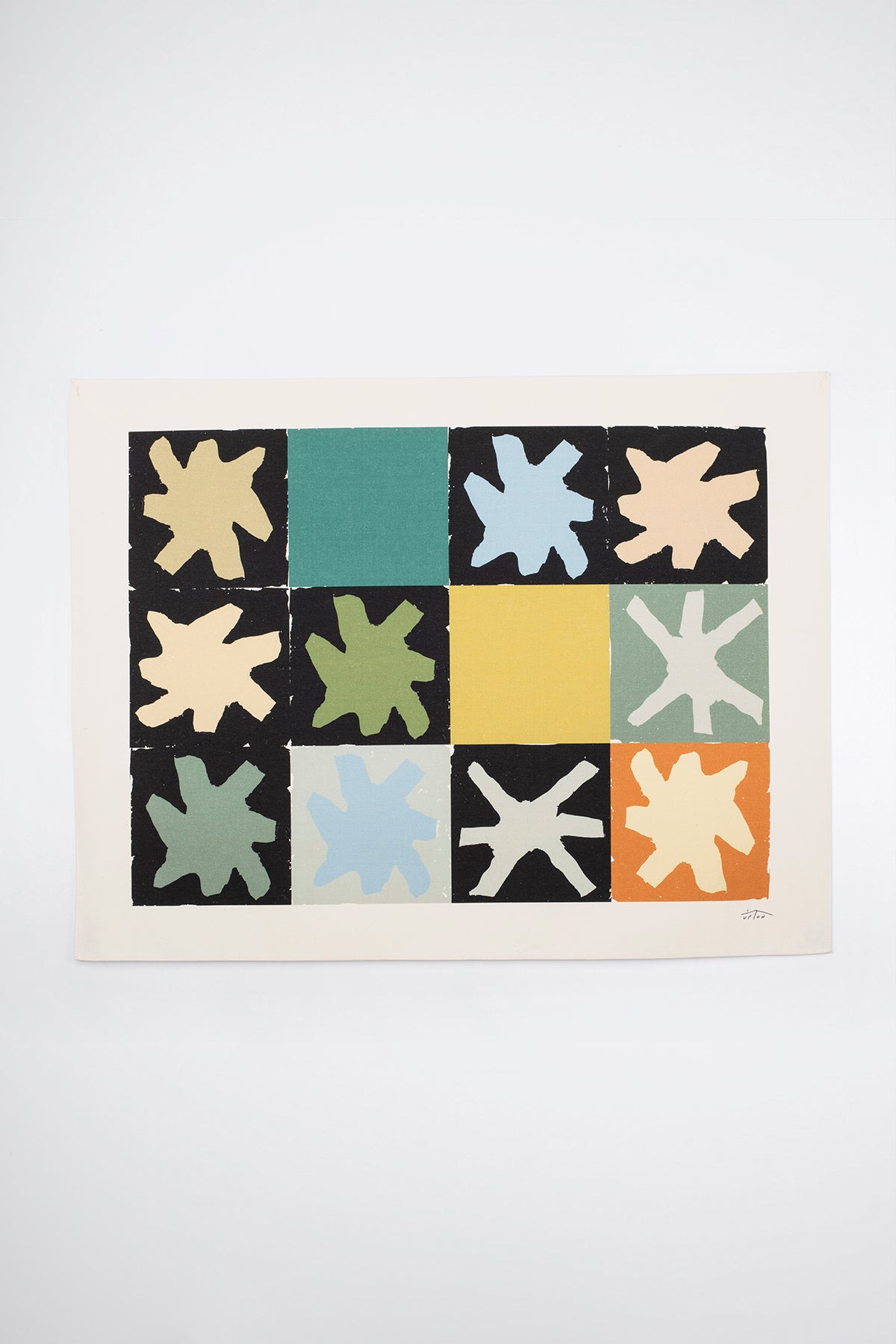 ASTERISM Canvas Print