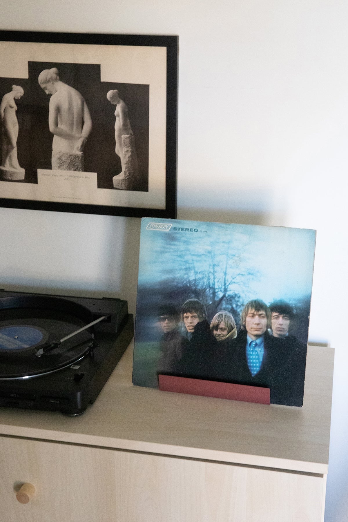Now Playing Stand in Rose