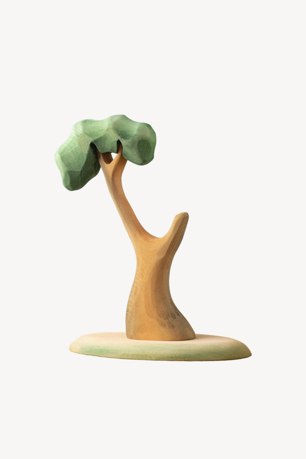 Wooden Eucalyptus Tree