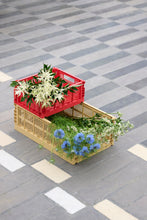 Load image into Gallery viewer, Medium Colour Crate in Golden Yellow
