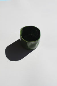 Solar Cup in Forest