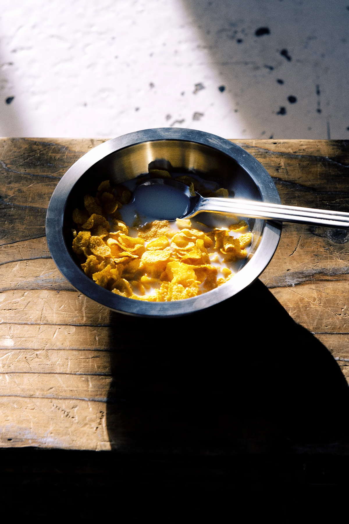 Steel Bowl 02 - Brushed