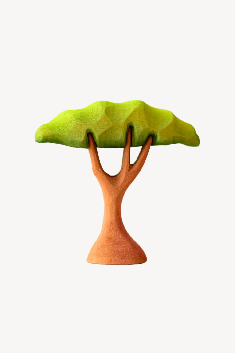 Small Acacia Tree