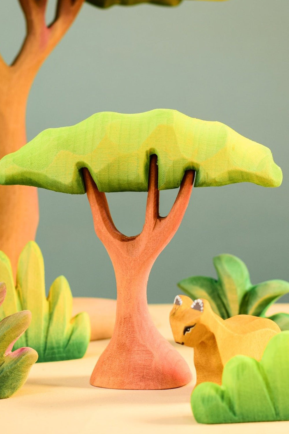 Small Acacia Tree