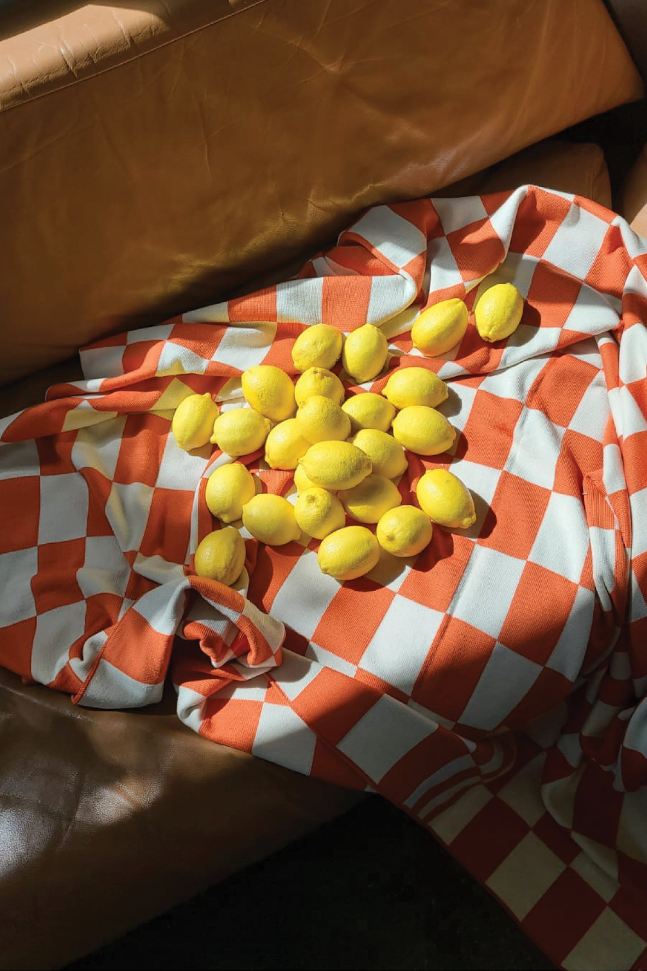 Curio Blanket – Juicy Check